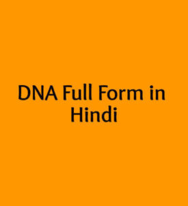 DNA Full Form in Hindi