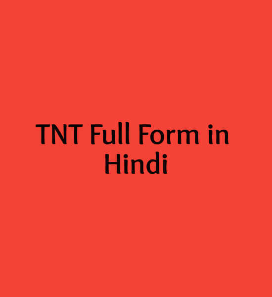 TNT Full Form in Hindi