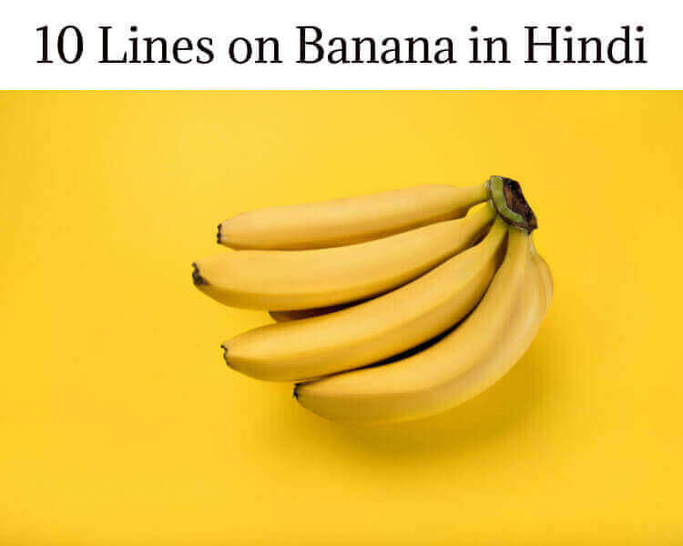 10 Lines on Banana Fruit in Hindi