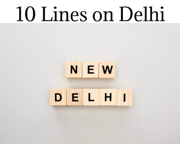 10 Lines on Delhi in Hindi